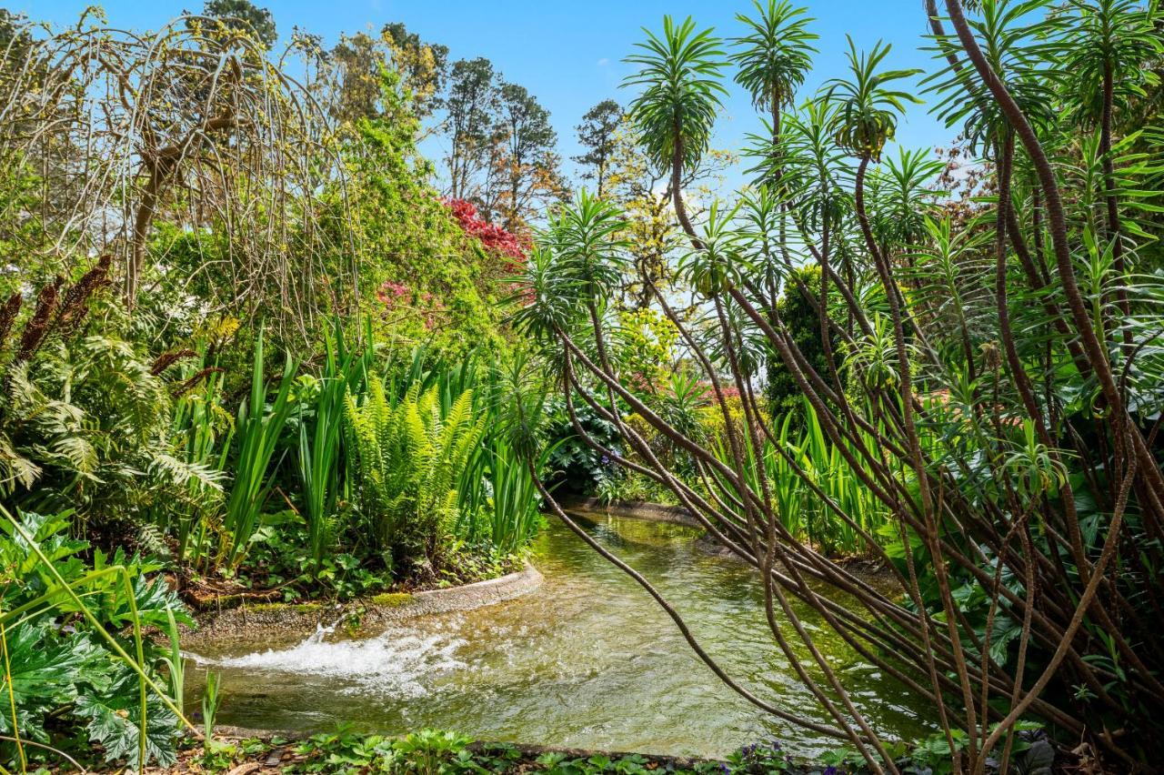 בלאקהית' Parklands Country Gardens & Lodges Blue Mountains מראה חיצוני תמונה
