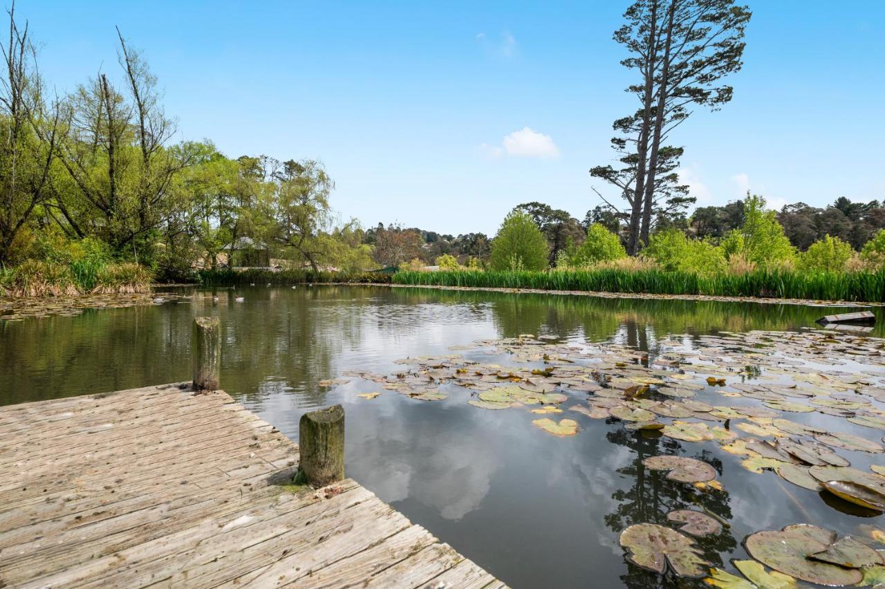בלאקהית' Parklands Country Gardens & Lodges Blue Mountains מראה חיצוני תמונה