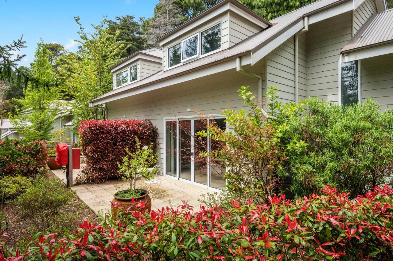 בלאקהית' Parklands Country Gardens & Lodges Blue Mountains מראה חיצוני תמונה